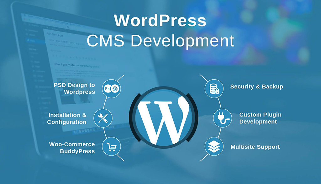Vì sao chọn WordPress làm website? Vì sao chọn WordPress làm website?